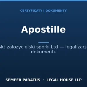 Apostille for LTD Company Formation Documents