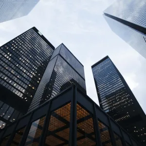 LTD Company Formation